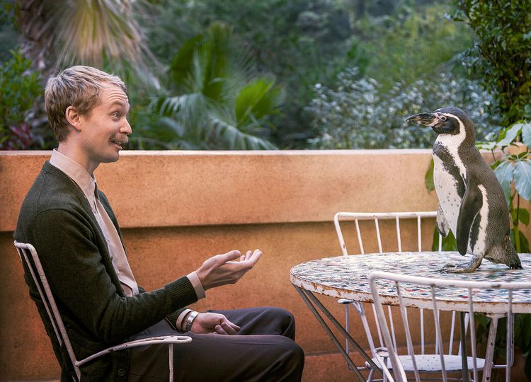 Produktbild: Der Pinguin meines Lebens