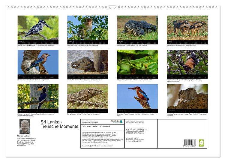 Produktbild: Sri Lanka - Tierische Momente (Wandkalender 2026 DIN A2 quer), CALVENDO Monatskalender