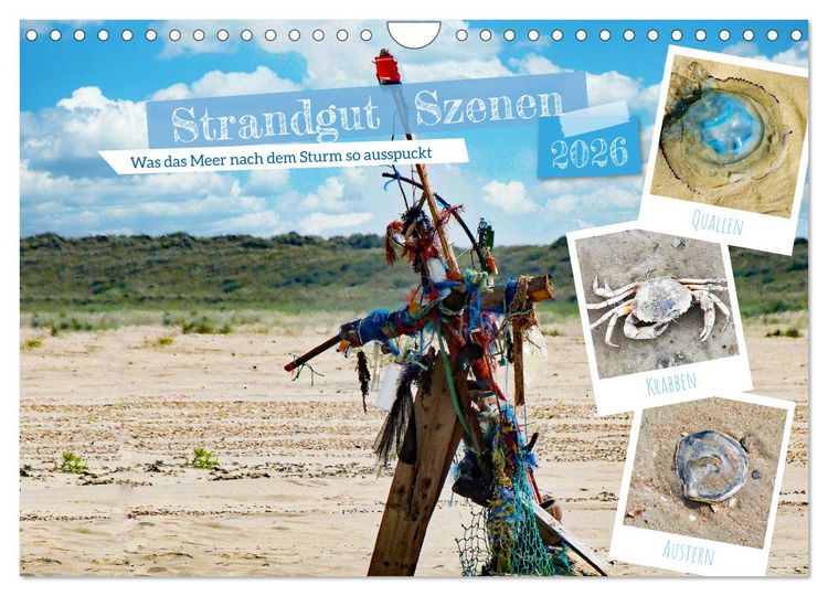 Produktbild: Strandgut Szenen (Wandkalender 2026 DIN A4 quer), CALVENDO Monatskalender