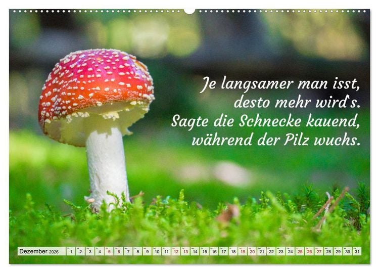 Produktbild: Junge, was hast du`s eilig (Wandkalender 2026 DIN A2 quer), CALVENDO Monatskalender