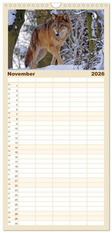Produktbild: Familienplaner 2026 - Begegnung mit dem Wolf mit 5 Spalten (Wandkalender, 21 x 45 cm) CALVENDO