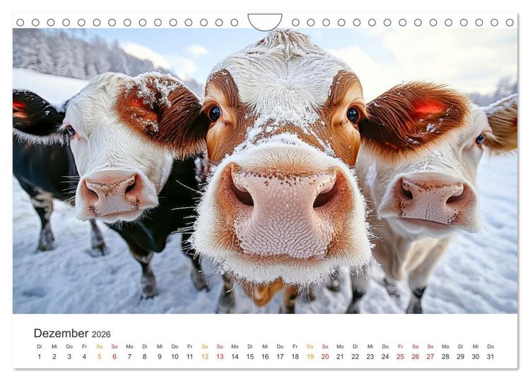 Produktbild: Gl&uuml;ckliche Bergk&uuml;he - Leben auf der Alm (Wandkalender 2026 DIN A4 quer), CALVENDO Monatskalender