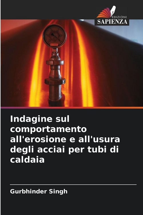 Produktbild: Indagine sul comportamento all'erosione e all'usura degli acciai per tubi di caldaia