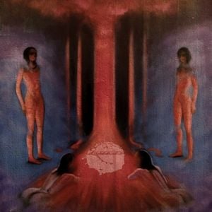 Produktbild: The Chaos in Veins