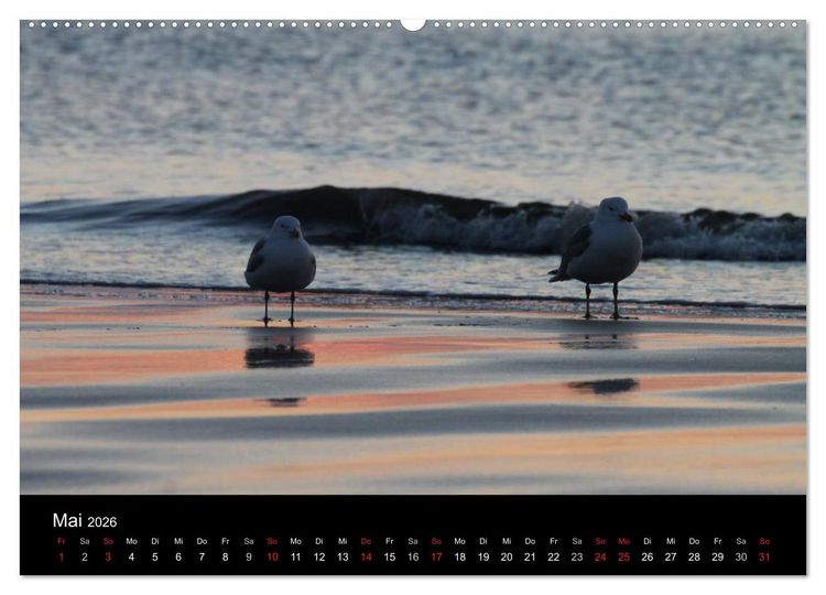 Produktbild: Sylt 2026 (hochwertiger Premium Wandkalender 2026 DIN A2 quer), Kunstdruck in Hochglanz