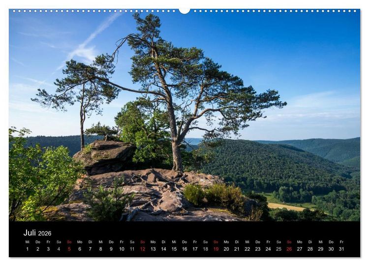 Produktbild: Mystischer Pf&auml;lzer Wald (hochwertiger Premium Wandkalender 2026 DIN A2 quer), Kunstdruck in Hochglanz
