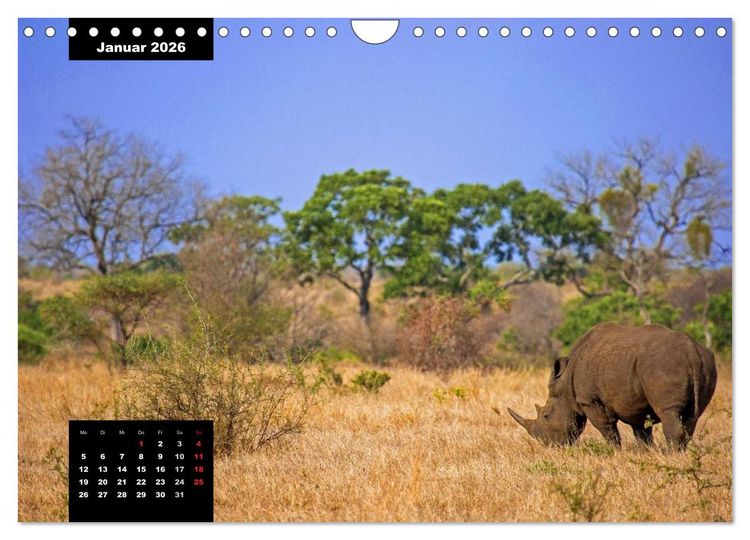 Produktbild: Blickpunkte des S&uuml;dlichen Afrika (Wandkalender 2026 DIN A4 quer), CALVENDO Monatskalender