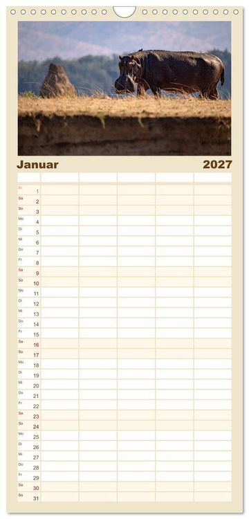 Produktbild: Familienplaner 2027 - Hippos - Gef&auml;hrliche Giganten mit 5 Spalten (Wandkalender, 21 x 45 cm) CALVENDO