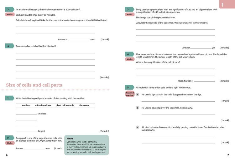 Produktbild: GCSE Science 9-1 - Aqa GCSE (9-1) Biology Grade 6-7 Booster Workbook