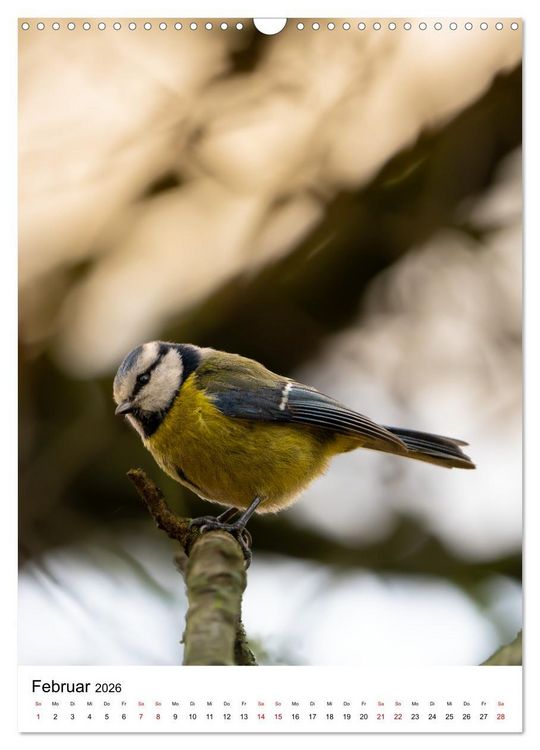 Produktbild: Heimische V&ouml;gel in Ihren G&auml;rten (Wandkalender 2026 DIN A3 hoch), CALVENDO Monatskalender