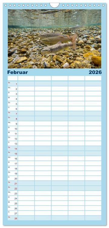 Produktbild: Familienplaner 2026 - Faszination Fische mit 5 Spalten (Wandkalender, 21 x 45 cm) CALVENDO