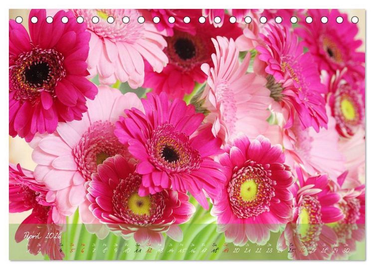 Produktbild: Bl&uuml;ten dicht an dicht (Tischkalender 2026 DIN A5 quer), CALVENDO Monatskalender