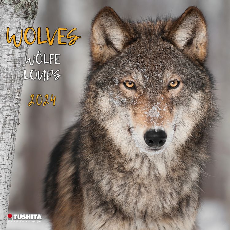 Produktbild: Wolves 2024