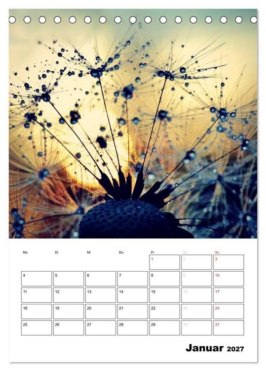 Produktbild: Pusteblumentraum - Dreams of Dandelion (Tischkalender 2027 DIN A5 hoch), CALVENDO Monatskalender