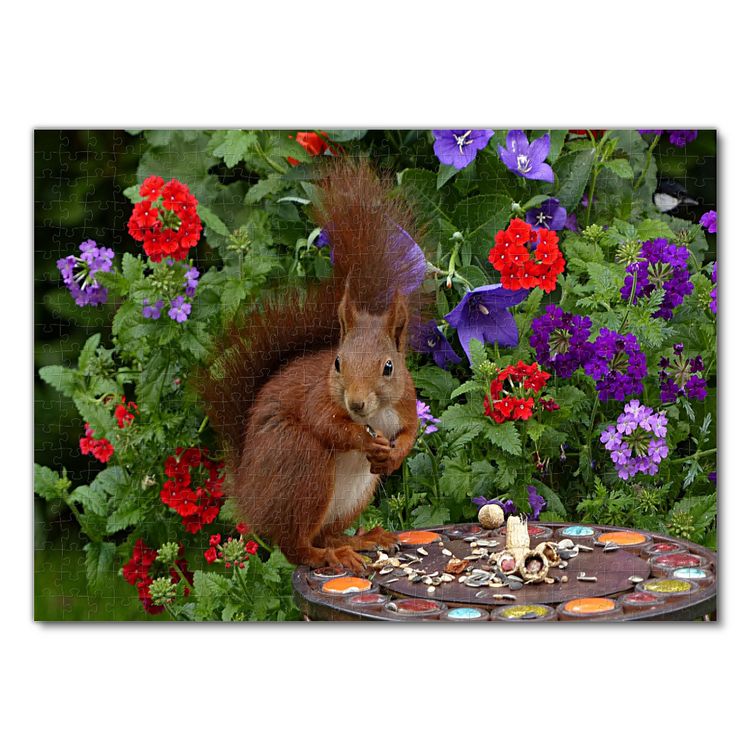 Produktbild: Lais Puzzle Eichh&ouml;rnchen 500 Teile