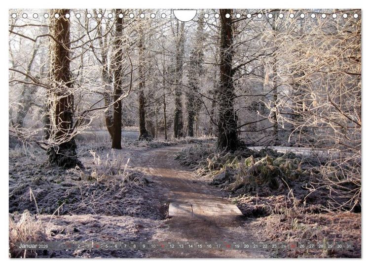 Produktbild: Impressionen aus Grevenbroich (Wandkalender 2026 DIN A4 quer), CALVENDO Monatskalender
