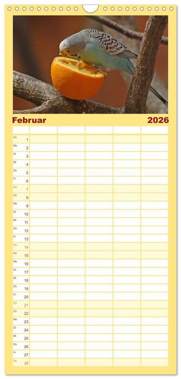 Produktbild: Familienplaner 2026 - Wellensittiche - Gefiederte Freunde mit 5 Spalten (Wandkalender, 21 x 45 cm) CALVENDO