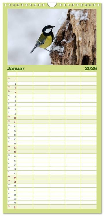 Produktbild: Familienplaner 2026 - V&ouml;gel mit 5 Spalten (Wandkalender, 21 x 45 cm) CALVENDO