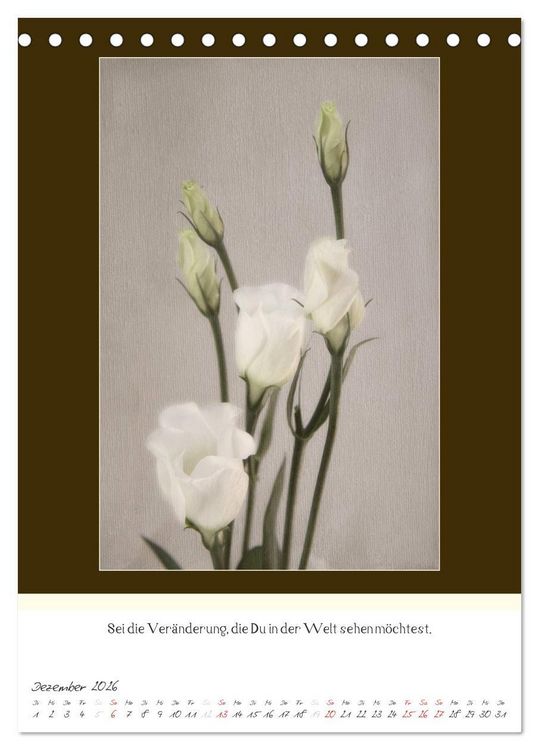 Produktbild: Der Buddhistische Weisheiten Kalender (Tischkalender 2026 DIN A5 hoch), CALVENDO Monatskalender