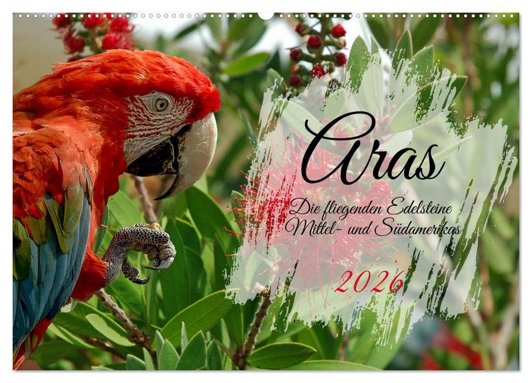 Produktbild: Aras - die fliegenden Edelsteine Mittel- und S&uuml;damerikas (Wandkalender 2026 DIN A2 quer), CALVENDO Monatskalender
