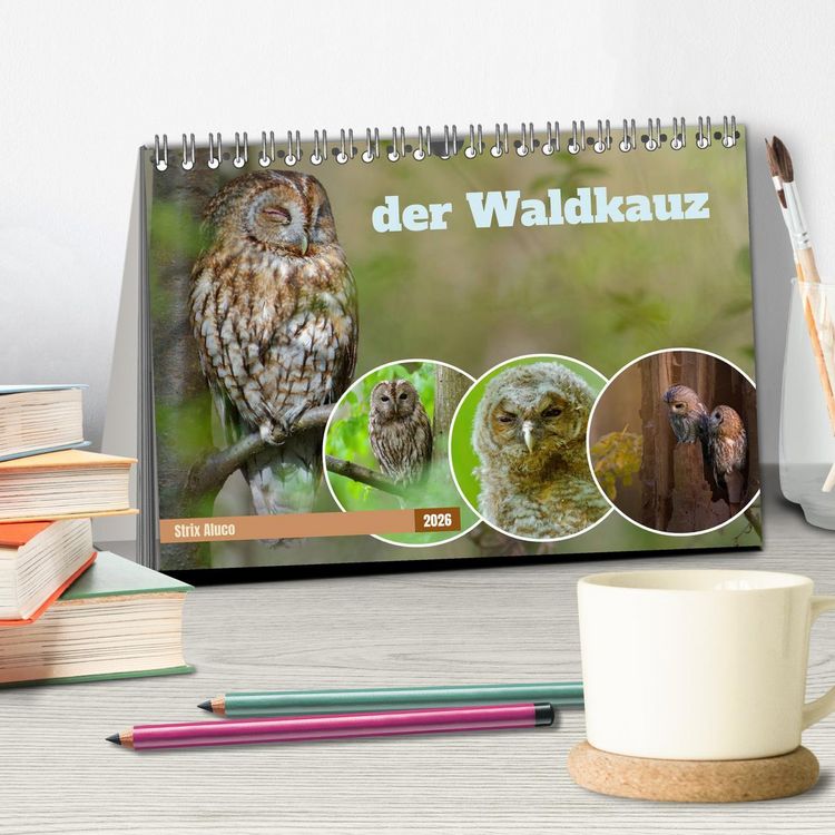 Produktbild: der Waldkauz - Strix Aluco (Tischkalender 2026 DIN A5 quer), CALVENDO Monatskalender