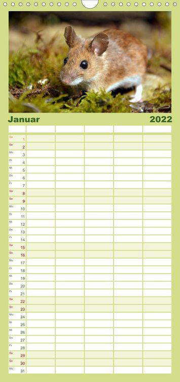 Produktbild: Familienplaner ... hier kommt die Maus ... (Wandkalender 2022 , 21 cm x 45 cm, hoch)