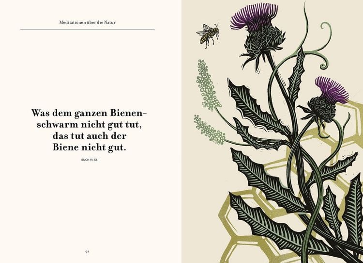 Produktbild: Wege zu sich selbst