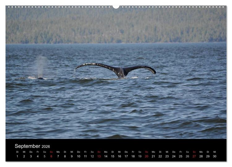 Produktbild: Vancouver und Vancouver Island 2026 (Wandkalender 2026 DIN A2 quer), CALVENDO Monatskalender