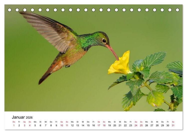 Produktbild: Kolibris - Juwelen der L&uuml;fte (Tischkalender 2026 DIN A5 quer), CALVENDO Monatskalender