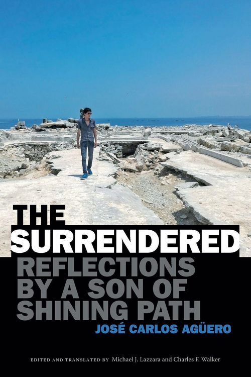 Produktbild: The Surrendered