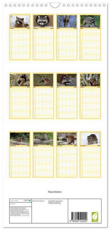 Produktbild: Familienplaner 2026 - Waschb&auml;ren mit 5 Spalten (Wandkalender, 21 x 45 cm) CALVENDO