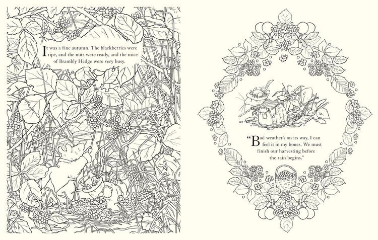 Produktbild: BRAMBLY HEDGE_BRAMBLY HEDGE PB