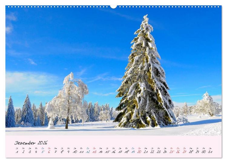 Produktbild: Wald und Baum 2026 (hochwertiger Premium Wandkalender 2026 DIN A2 quer), Kunstdruck in Hochglanz