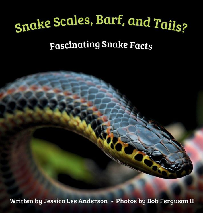 Produktbild: Snake Scales, Barf, and Tails? Fascinating Snake Facts