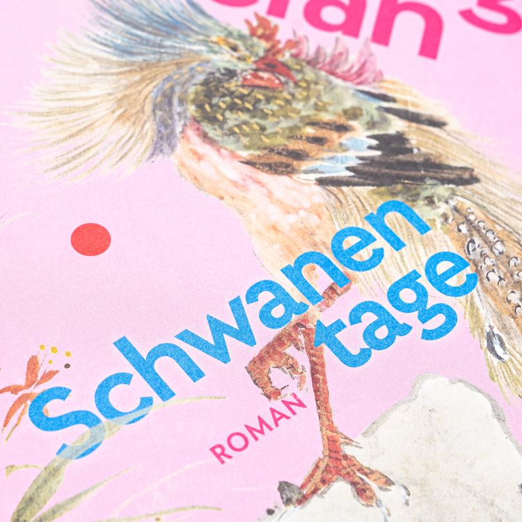 Produktbild: Schwanentage