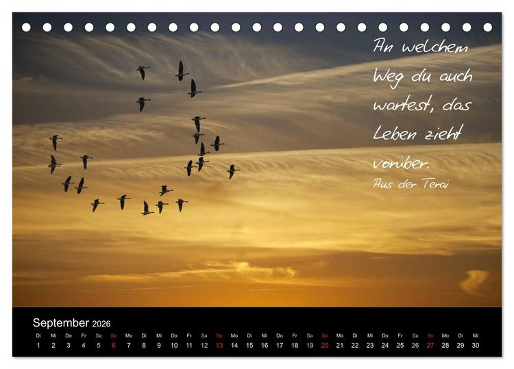 Produktbild: Poetische Wege (Tischkalender 2026 DIN A5 quer), CALVENDO Monatskalender