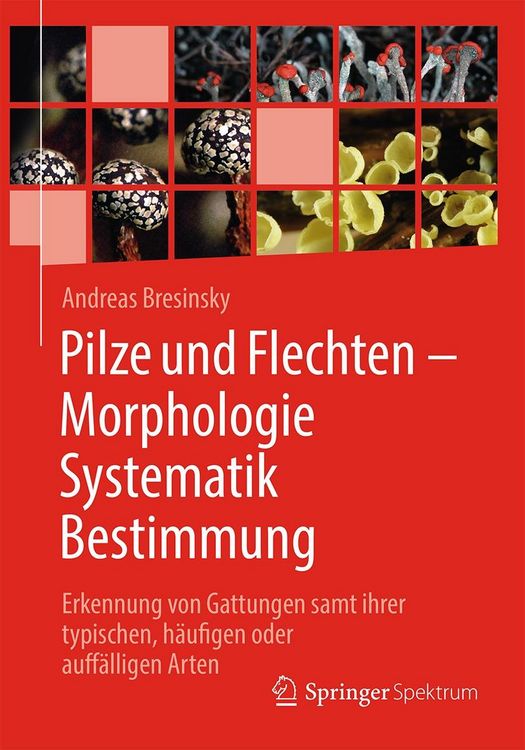 Produktbild: Pilze und Flechten - Morphologie, Systematik, Bestimmung
