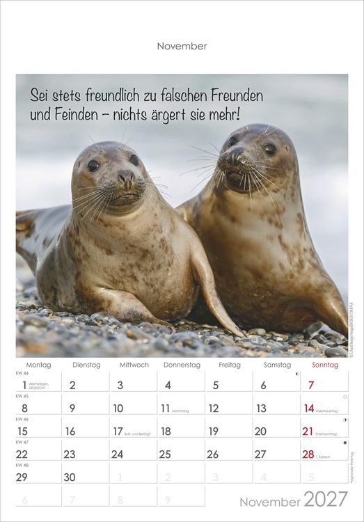 Produktbild: Kleine Freunde 2027