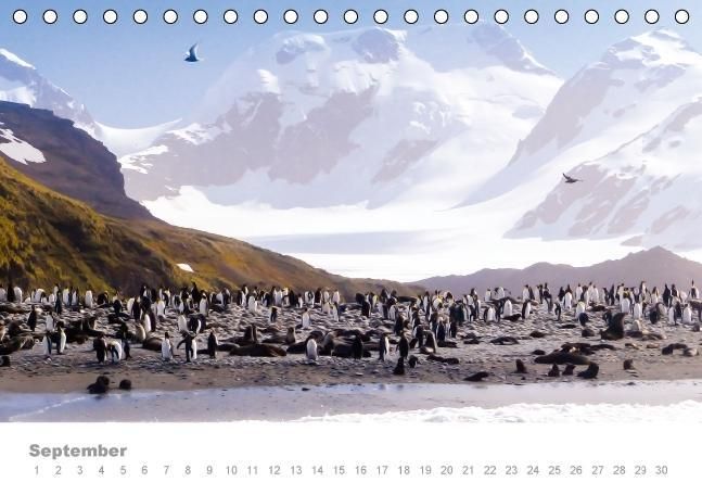 Produktbild: ANTARKTIS (Tischkalender immerw&auml;hrend DIN A5 quer)