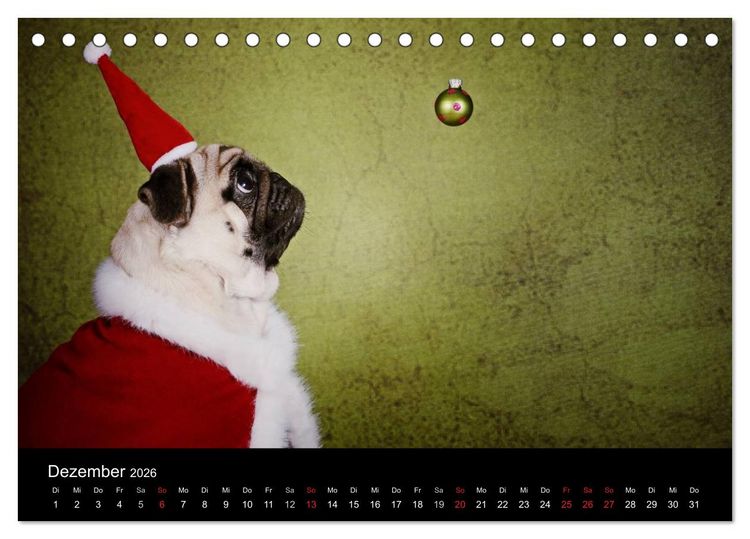 Produktbild: Der MOPS-Kalender (Tischkalender 2026 DIN A5 quer), CALVENDO Monatskalender