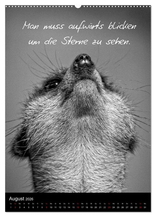 Produktbild: Kluge Spr&uuml;che in Schwarz-Wei&szlig; (Wandkalender 2026 DIN A2 hoch), CALVENDO Monatskalender