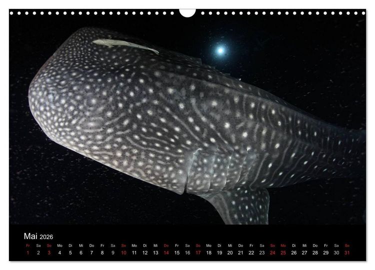 Produktbild: Magische Unterwasserwelten (Wandkalender 2026 DIN A3 quer), CALVENDO Monatskalender