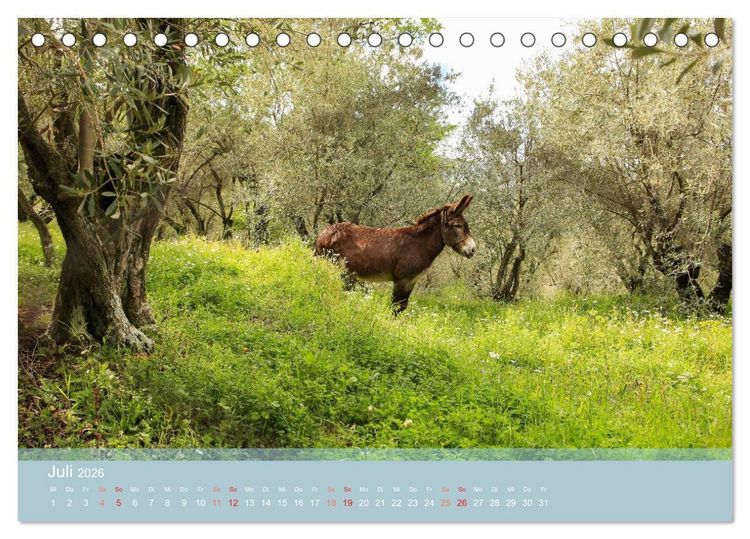 Produktbild: Lesbos - Inselimpressionen (Tischkalender 2026 DIN A5 quer), CALVENDO Monatskalender