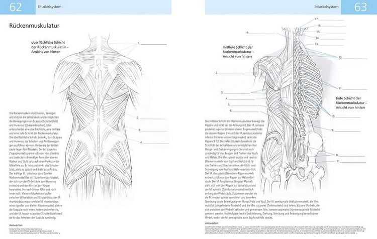 Produktbild: Das Lehrbuch der Anatomie