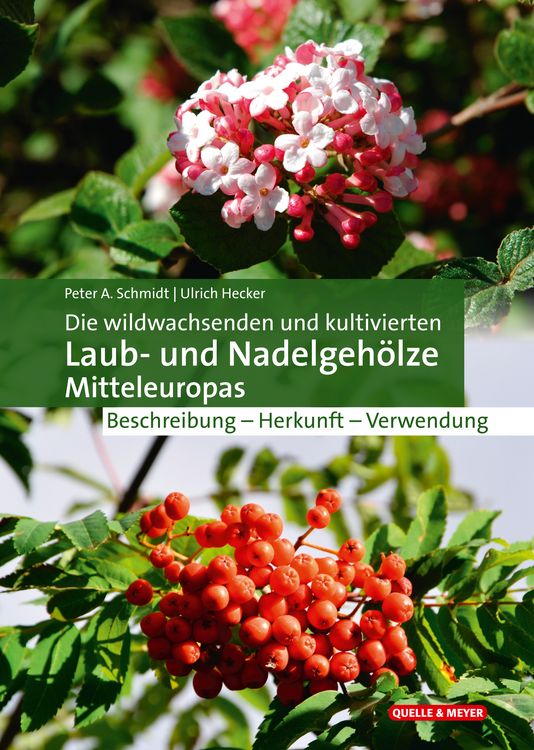 Produktbild: Die wildwachsenden und kultivierten Laub- und Nadelgeh&ouml;lze Mitteleuropas