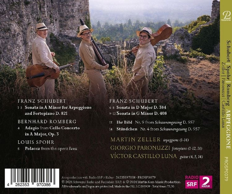 Produktbild: Zeller/Paronuzzi/Castillo Luna: Arpeggione - A forgotten Ins