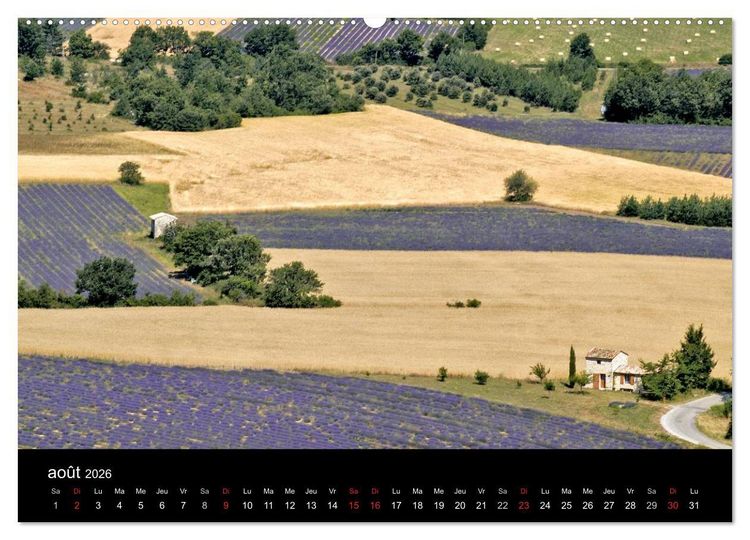 Produktbild: Lavande, l'or bleu de Provence (Calendrier mural 2026 DIN A2 vertical) calendrier de bureau