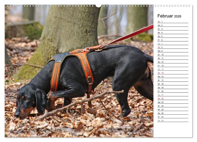 Produktbild: Der Brandlbracken-Terminplaner (hochwertiger Premium Wandkalender 2026 DIN A2 quer), Kunstdruck in Hochglanz
