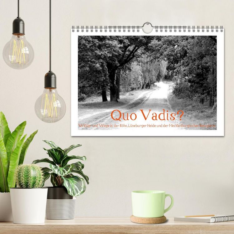 Produktbild: Quo Vadis? W&auml;lder und Wege in der R&ouml;hn, L&uuml;neburger Heide und der Mecklenburgischen Seenplatte (Wandkalender 2026 DIN A4 quer), CALVENDO Monatskalender