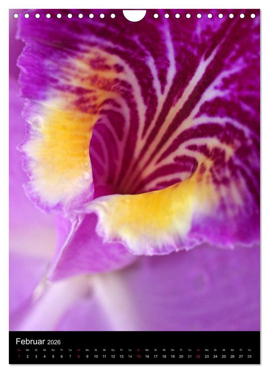 Produktbild: Kunst in der Natur (Wandkalender 2026 DIN A4 hoch), CALVENDO Monatskalender